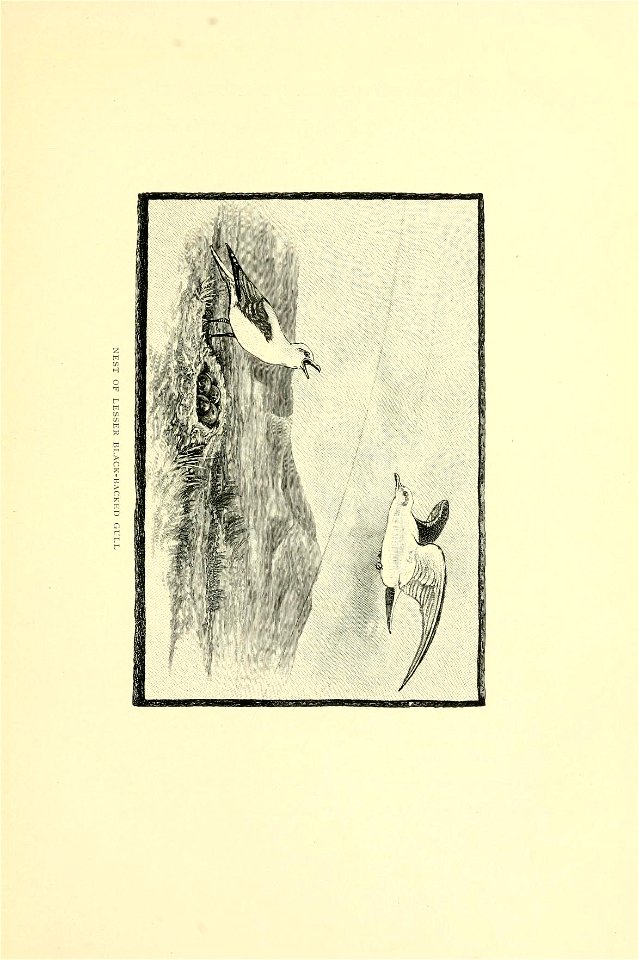 n182_w1150