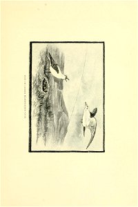 n182_w1150