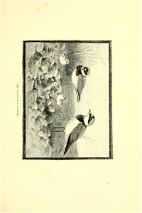 n68_w1150