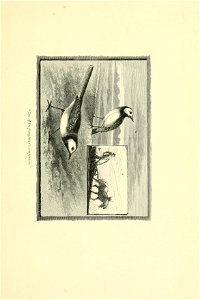 n54_w1150