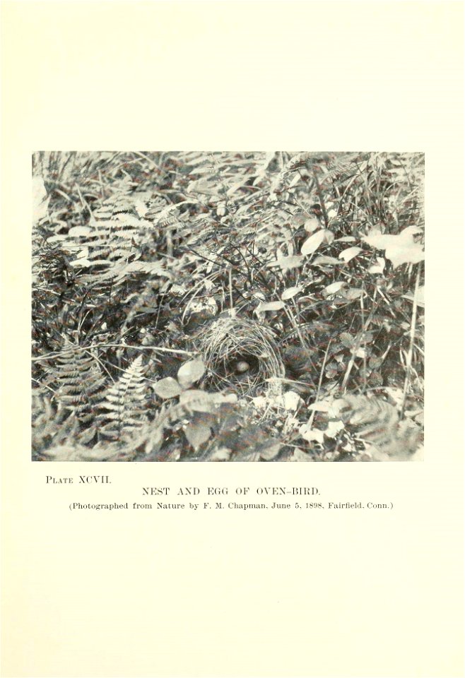 n200_w1150