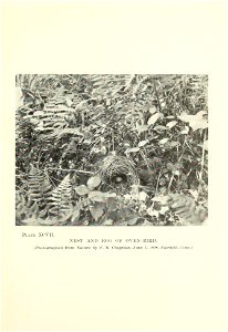 n200_w1150