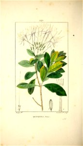 n407_w1150