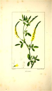 n353_w1150