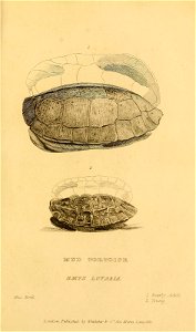 n136_w1150
