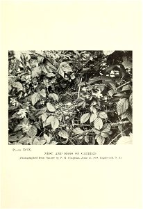 n204_w1150