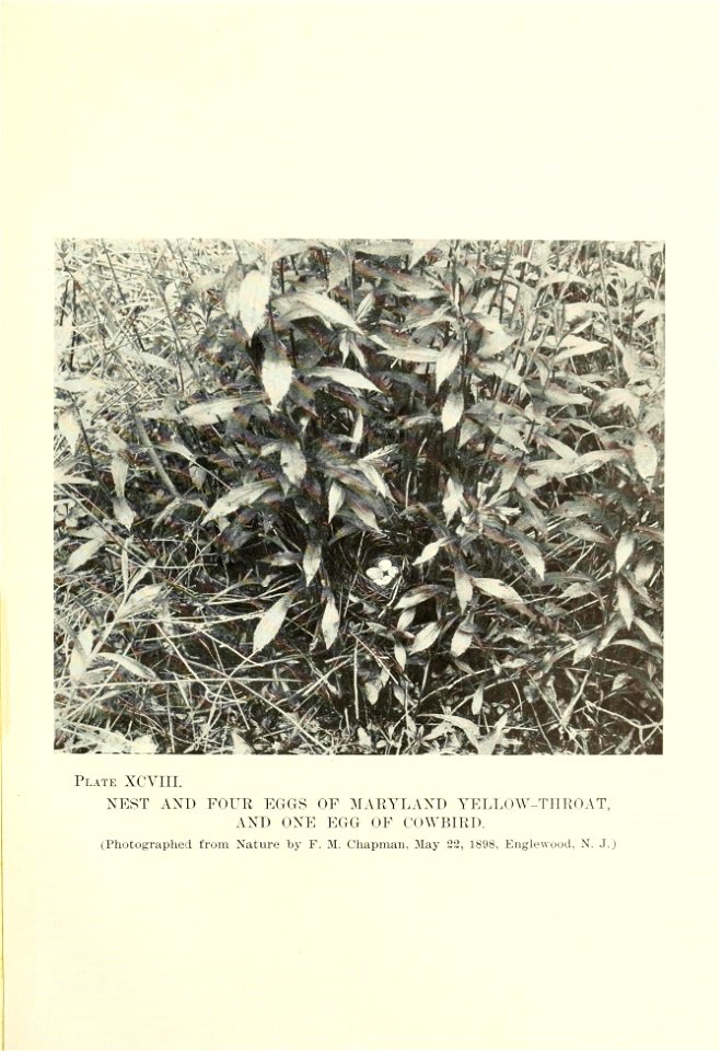 n202_w1150
