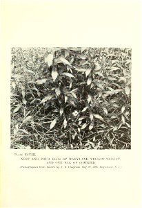 n202_w1150