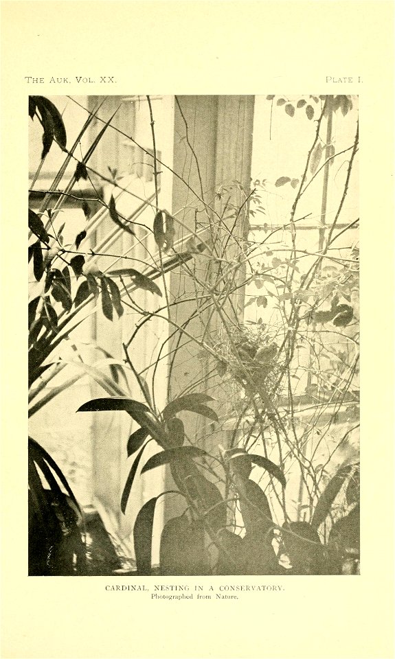n90_w1150