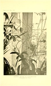 n90_w1150