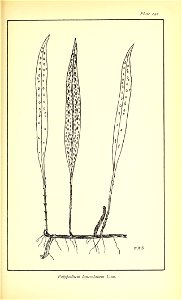 n682_w1150