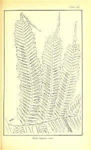 n652_w1150