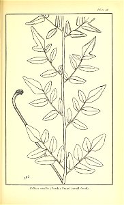 n590_w1150