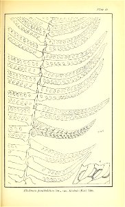 n560_w1150