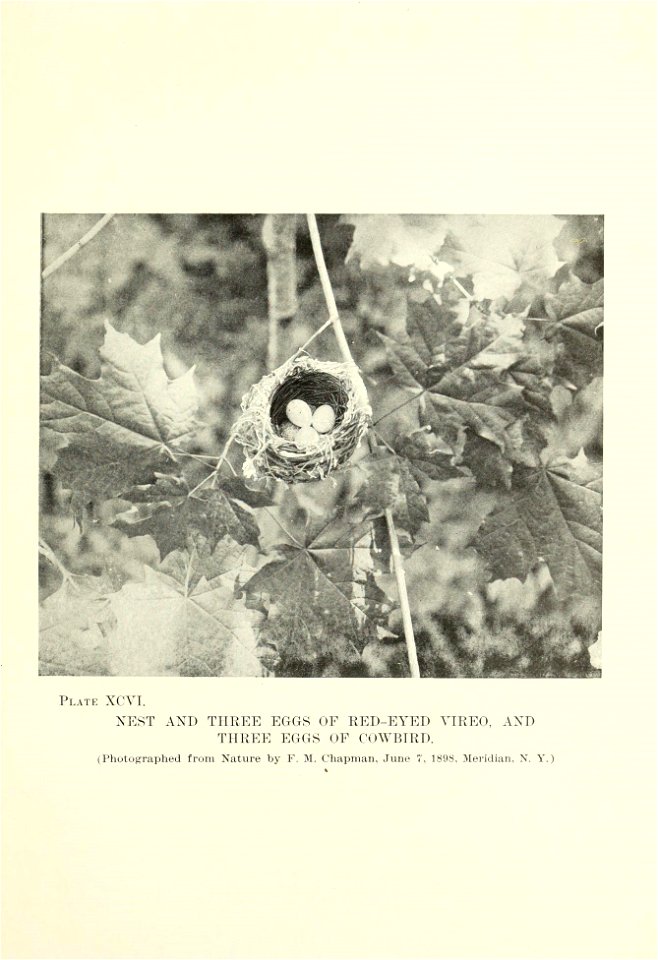 n198_w1150
