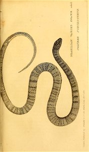 n474_w1150
