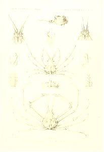 n446_w1150