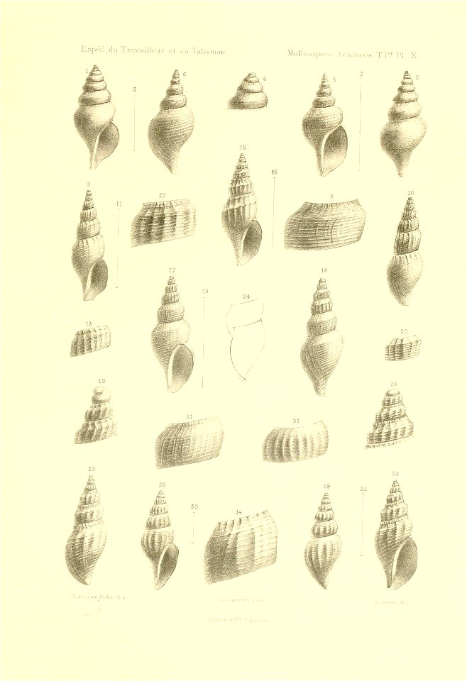 n556_w1150