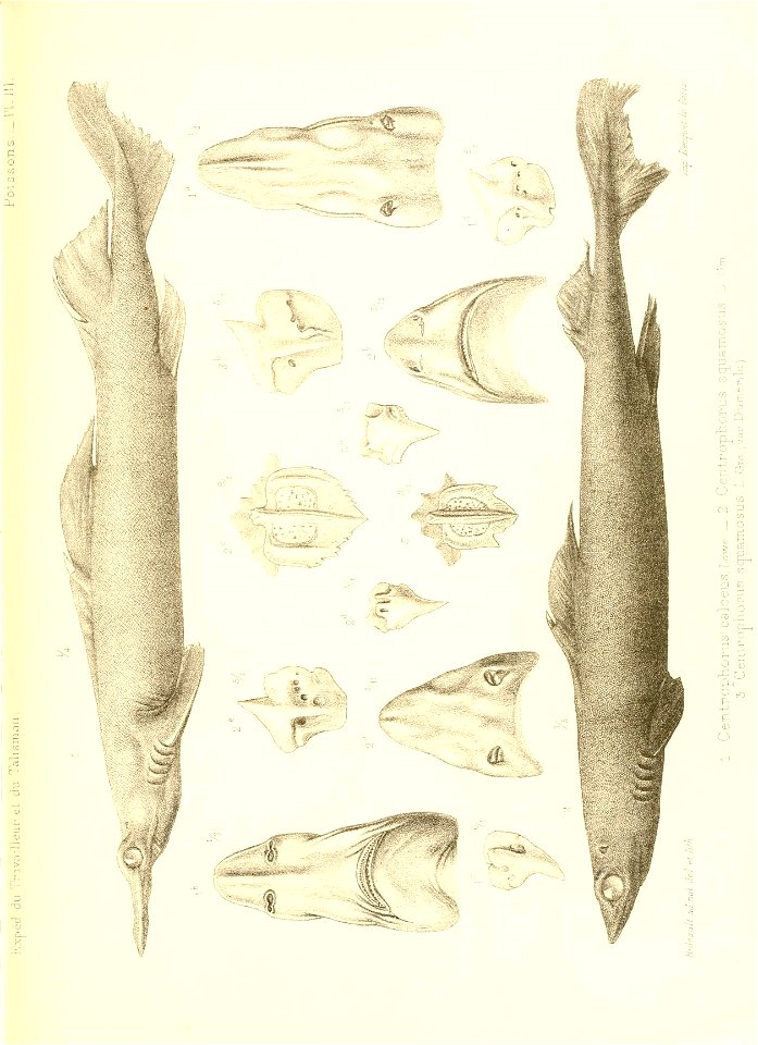 n424_w1150