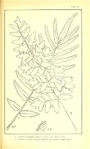 n594_w1150