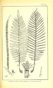 n564_w1150