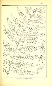 n504_w1150