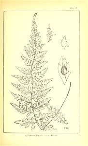 n414_w1150