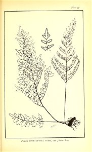n592_w1150
