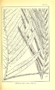 n562_w1150