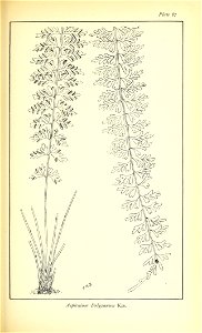 n532_w1150
