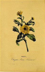 n95_w1150
