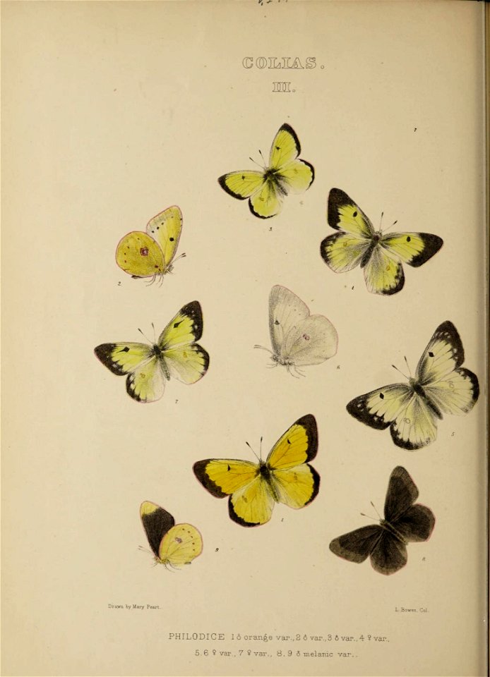 n149_w1150