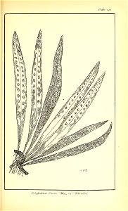 n678_w1150