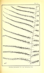 n558_w1150