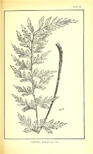 n528_w1150