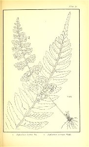 n498_w1150