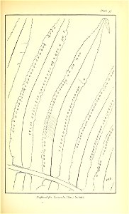 n468_w1150
