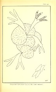 n706_w1150