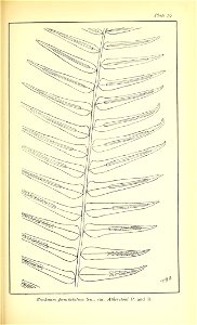 n556_w1150