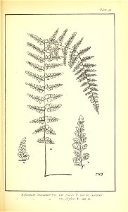 n496_w1150