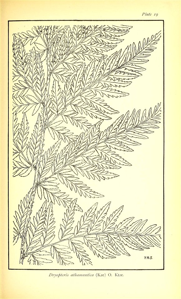 n436_w1150