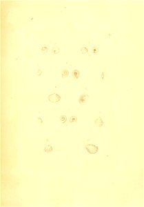 n688_w1150
