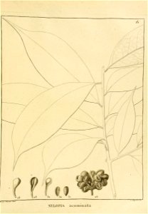 n190_w1150