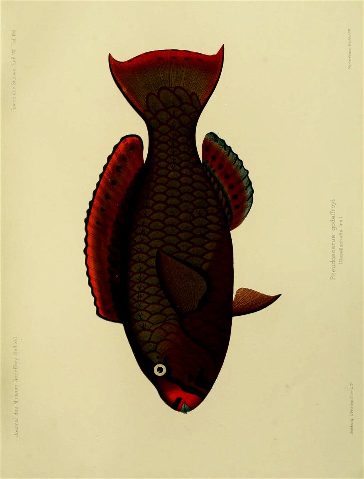 n174_w1150