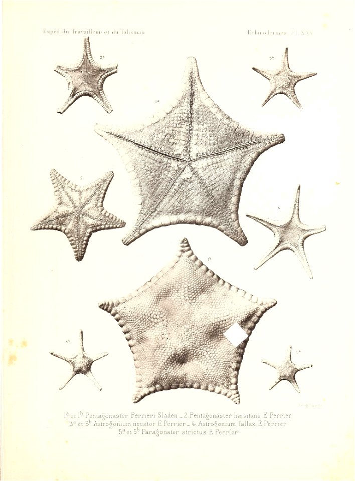 n492_w1150