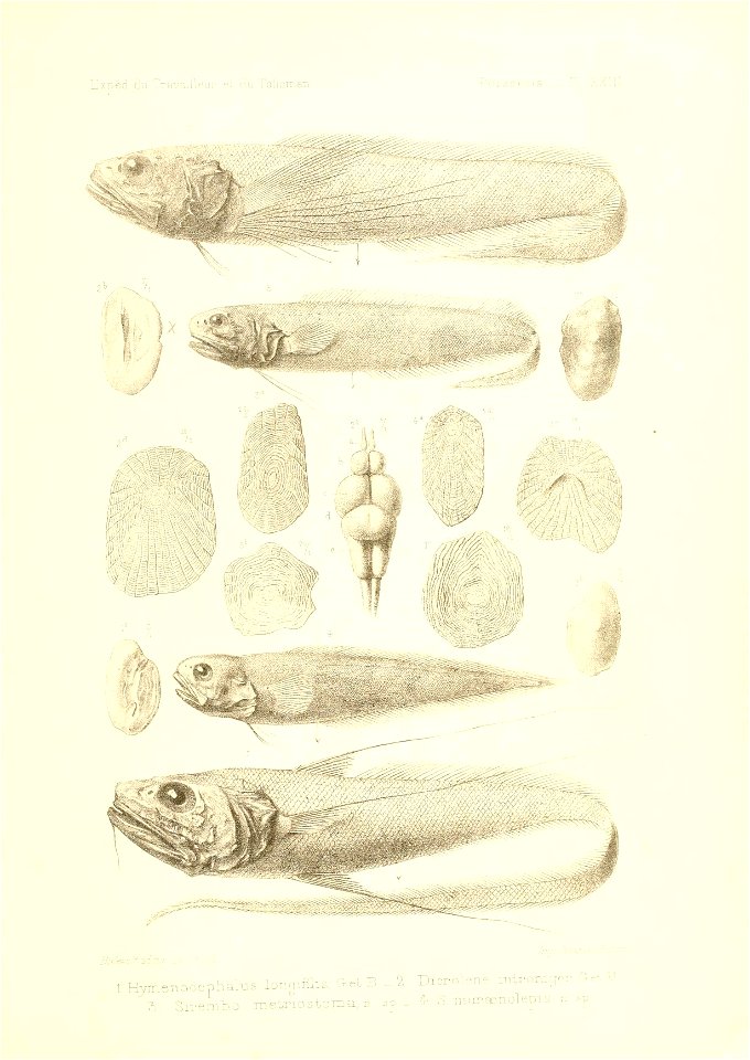 n464_w1150