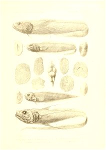 n464_w1150