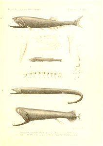 n434_w1150