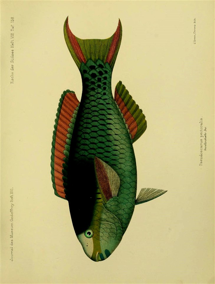 n172_w1150