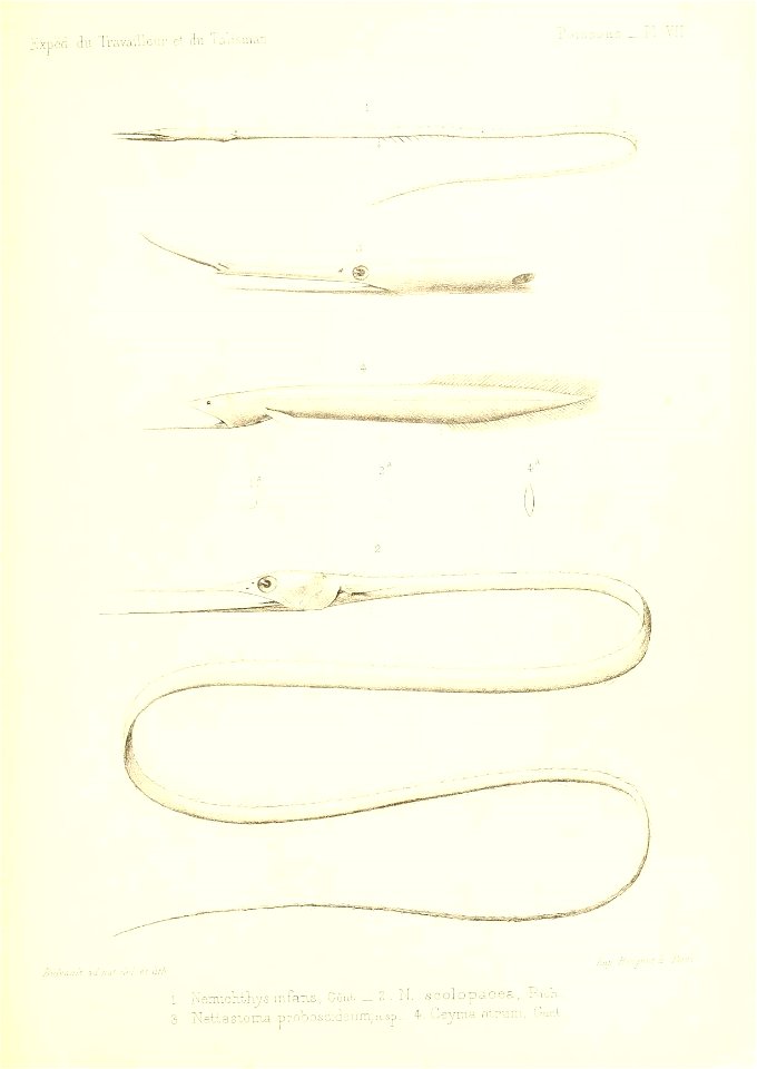 n432_w1150
